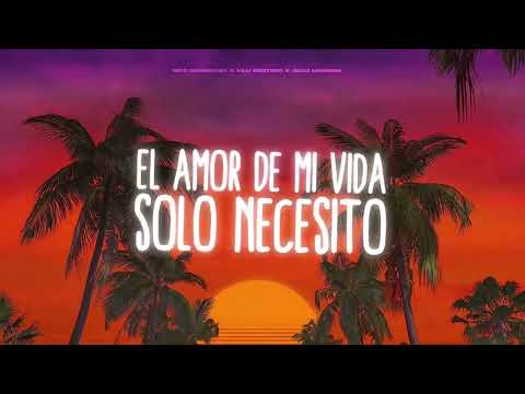 El Amor De Mi Vida vs Solo Necesito (Mashup Remix) - Nico Manriquez x @vilugontero x Agus Maidana