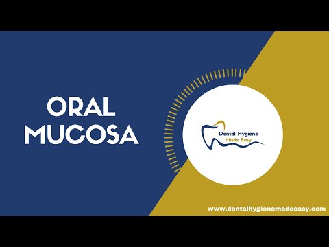Mundschleimhaut - Verhornte und unverhornte Schleimhaut