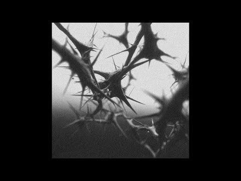 NEGATIVUT and The Natural Progress