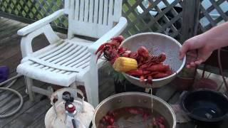 preview picture of video 'Anderson Perry Crawfish Boil.mp4'