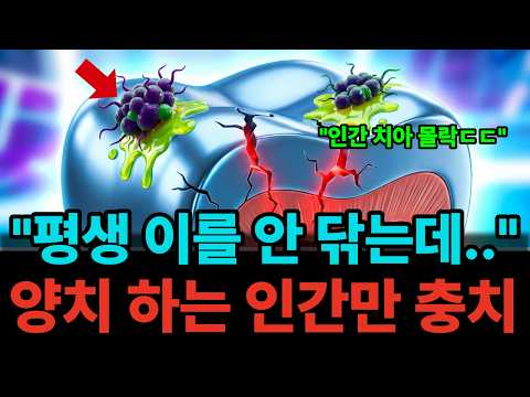 평생 이를 안 닦는데... 양치 열심히 하는 인간만 충치에 걸리는 충격적인 이유, 동물한테서 답을 찾았습니다