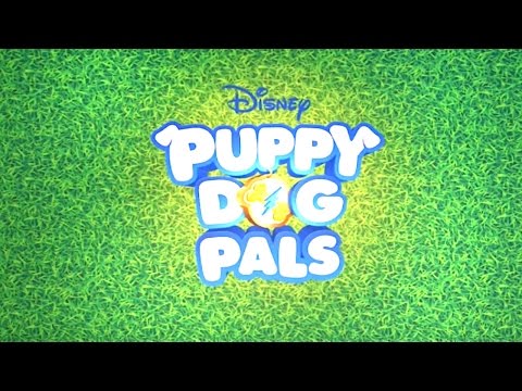 Puppy-Cam! | Puppy Dog Pals | Disney Junior