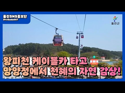 왕피천 케이블카 타고 망양정 여행 :: 울진SNS홍보단 :: 울진군청