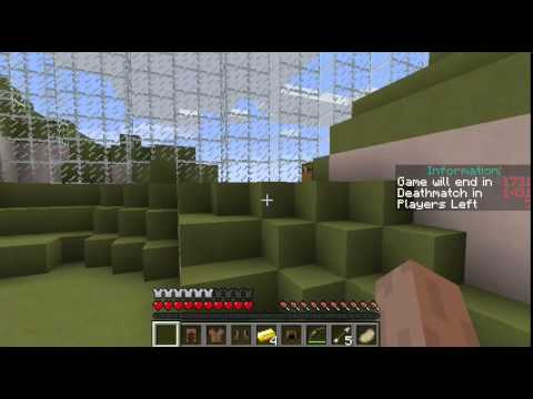 Minecraft Hunger Games