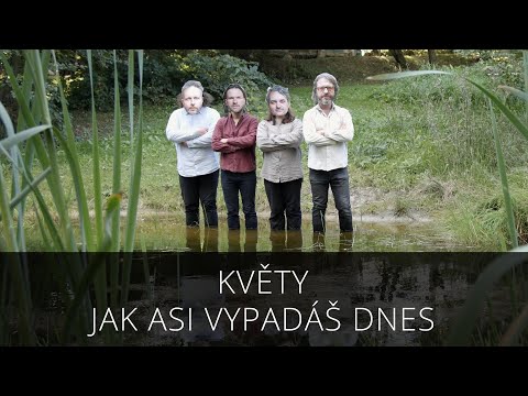 Květy - Jak asi vypadáš dnes