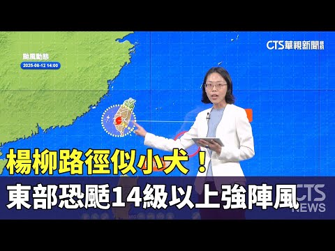楊柳路徑似小犬！　東部恐颳14級以上強陣風
