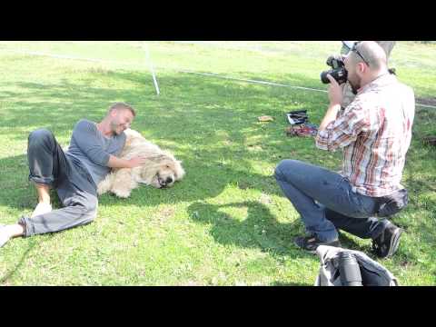 Viva  10 lat kalendarza WYBIERZ MIŚKA