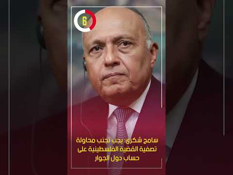 سامح شكرى يجب تجنب محاولة تصفية القضية الفلسطينية على حساب دول الجوار