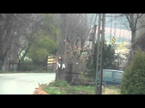 Jasielski Rajd Niepodległości 2013 - Damian Zawisza / Mirosław Lis - Citroen Saxo Vts