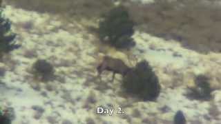 Justin King Nevada Elk Hunt with BullRidge 2013