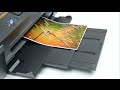 EPSON C11CD81402 - відео