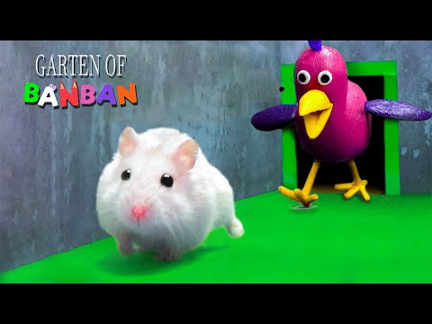 If My Hamster Was In GARTEN OF BANBAN - Hamster Escapes The Awesome Maze With Traps