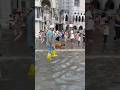 Italians reacting to WATER FLOOD in Venice