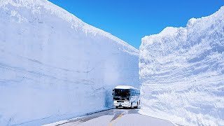 Tateyama Snow Corridor - 65 Feet High Snow Walls