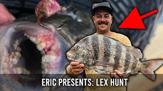 Sheepshead 101, Tips, Tricks, Tactics, and Technique - Capt. Lex Hunt