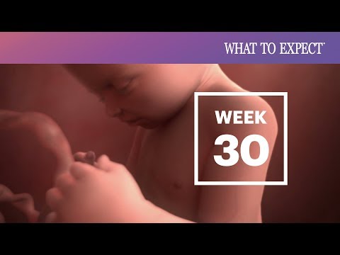 3rd YouTube video about how long is 30 weeks