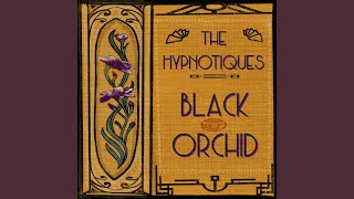 Black Orchid