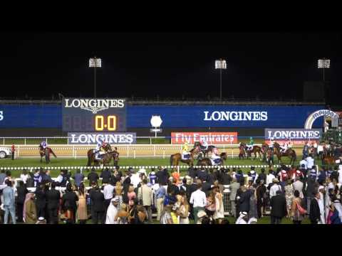 Dubai World Cup 2016 - Dubai Sheema Classic (Group 1) 2410m (Turf) warming up