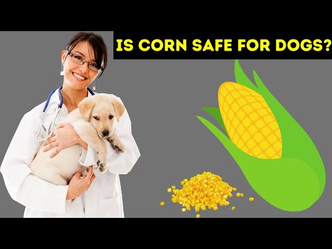 YouTube video about: Can dogs eat peas and corn?