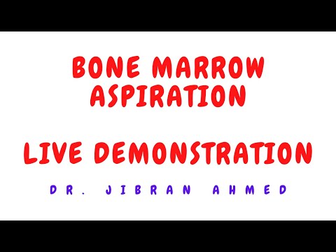 NORMAL HEMATOPOESIS II HEMATOLOGY II ROBBINS 10TH E II DrJIBRANAHMED
