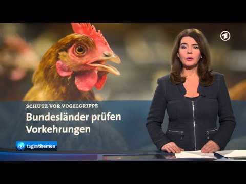 tagesthemen 22:15 Uhr, 24.11.2014