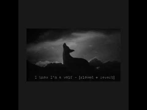 I know I’m a wolf - Young Heretics [ 𝘴𝘭𝘰𝘸𝘦𝘥 + 𝘳𝘦𝘷𝘦𝘳𝘣 ]