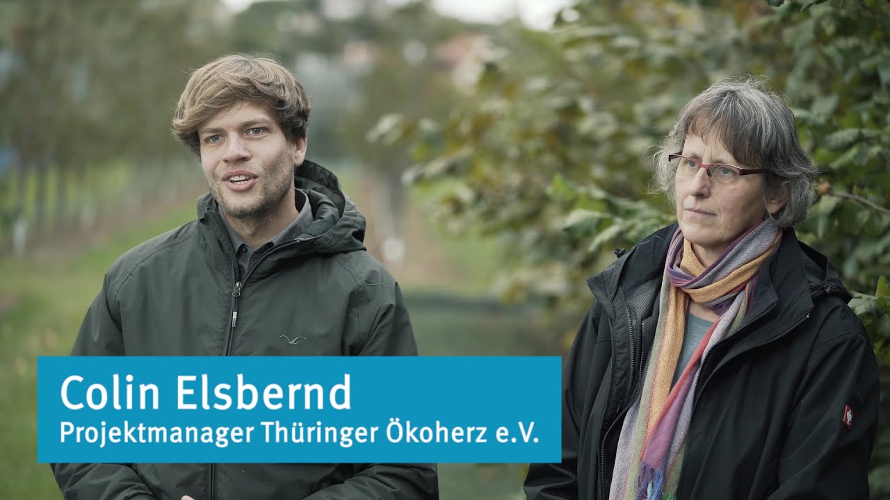 #3 Aromatische Haselnüsse aus Thüringen: Projekt Inno-Hasel