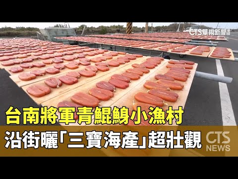 台南將軍青鯤鯓小漁村　沿街曬「三寶海產」超壯觀