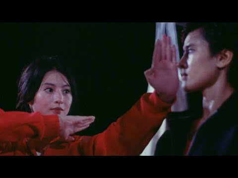 ''Moon Lee's Kung Fu Vs. Yukari Oshima's Kickboxing || 李賽鳳 || 大島由加利 || 夢醒血未停 (1991)."