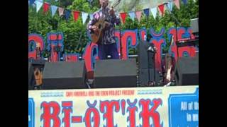 Robyn Hitchcock -- Globe of Frogs (Live)