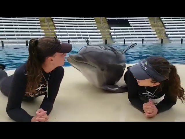 Настоящий мастер пикапа за работой