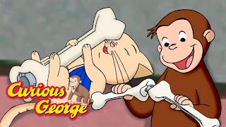 Dinosaur Bones Aren't for Playing With! 🐵 Curious George 🐵 Kids Cartoon 🐵 Kids Movies