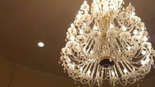 Best Friend Forever.