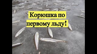Рыбалка в де кастри на корюшку