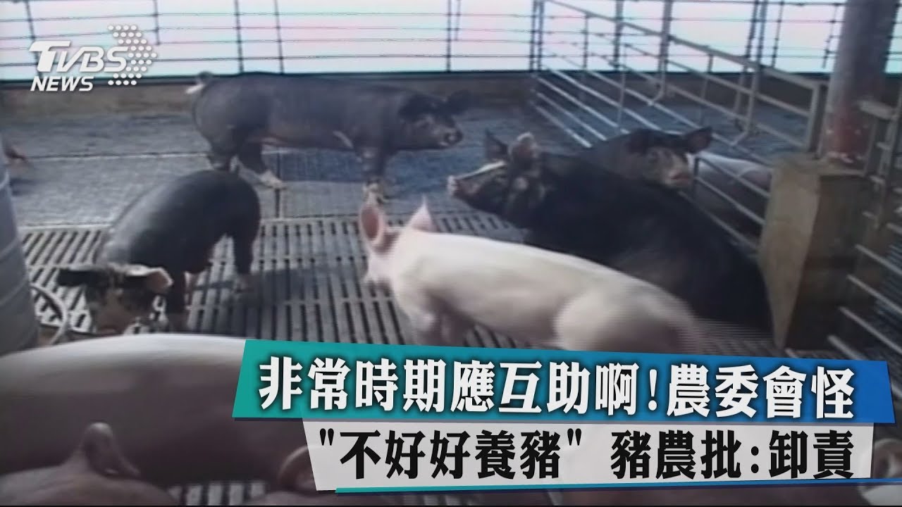 非常時期應互助啊! 農委會怪「不好好養豬」豬農批卸責