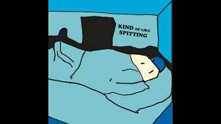 Kind of Like Spitting - "Cater"