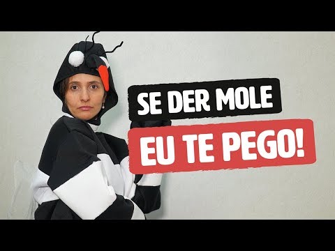 Imagem ilustrativa do vídeo: PARA A DENGUE NÃO TE PEGAR