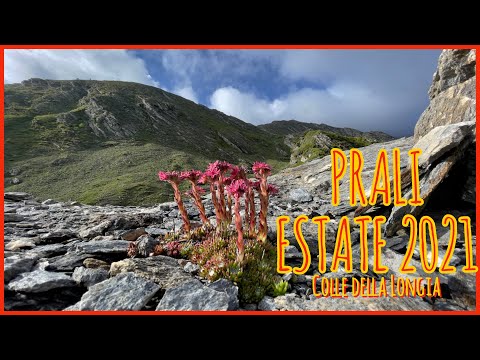 Prali estate 2021, Colle della Longia