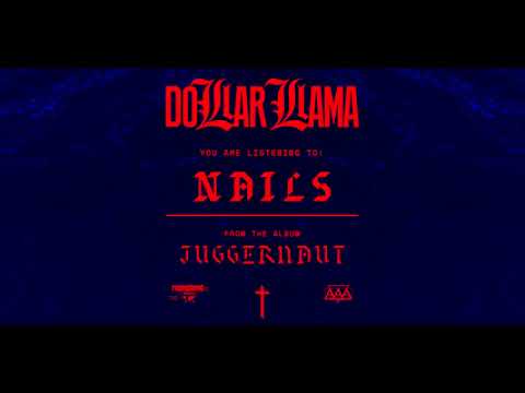 DOLLAR LLAMA - NAILS  [OFFICIAL AUDITION VIDEO]