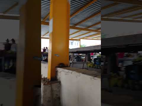 feira de gavião Bahia 6:11