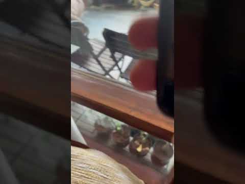 iOS 16.6.1 update on iPhone SE 3