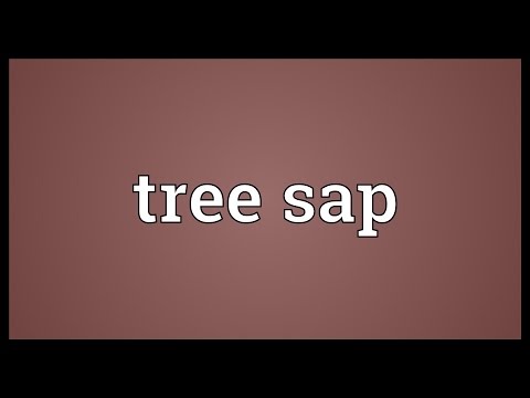Tree sap Meaning