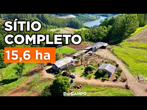 SÍTIO À VENDA + CASAS + GALPÃO GRANDE + ÁGUA BOA + PASTAGEM + MAIS ANIMAIS R$1.6MI