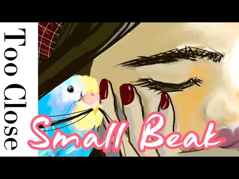 1-Minute paint with me; an animal moment;drawing with music to keep you company