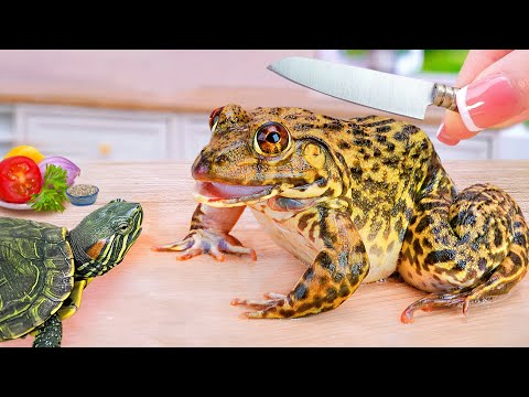 Catching Frog and Turtle In at sea 🐢 Delicious Miniature Cheetos Fried Frog Tutorial 🐸 Mini Cooking