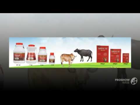 Pharmaceutical Medicines Animal Feed Supplement