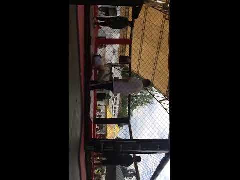 Batalla de Fuego Qualifers Day | Bboys PituOne | Minos | Lil Cesar | BudaMoon