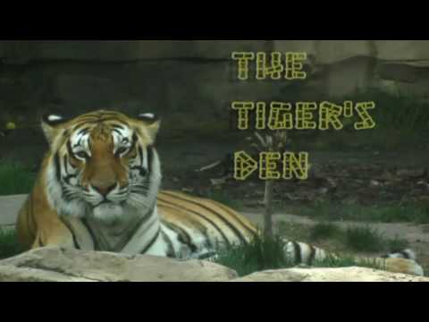 May 12th Power Trading Hour with David White on TFNN   2016