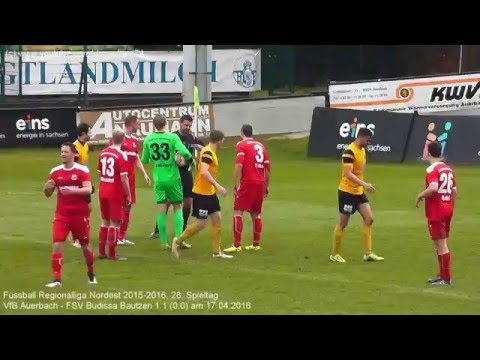 VfB Auerbach - FSV Budissa Bautzen 1:1 (0:0), Regionalliga Nordost 2015-2016 am 17.04.2016