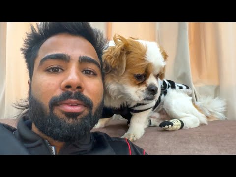 ignoring Jojo for 24 hours